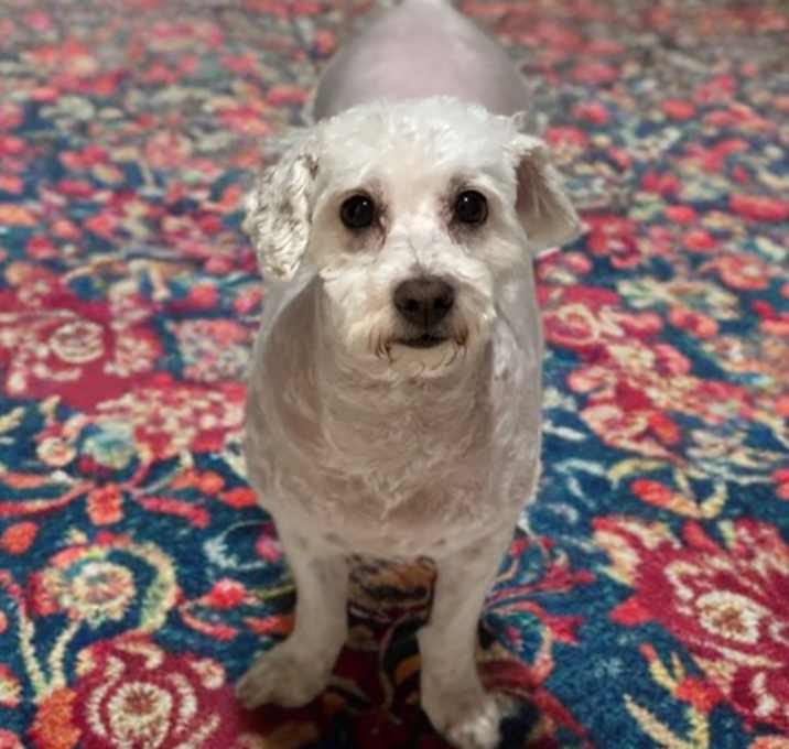 Photo of Dutchess