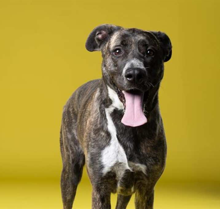Photo of PORTIA