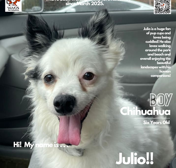 Photo of Julio