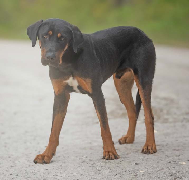Photo of Jean Claude