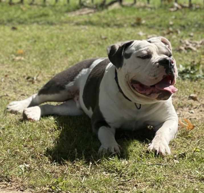 Photo of Mack