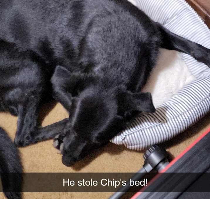 Photo of Zuko