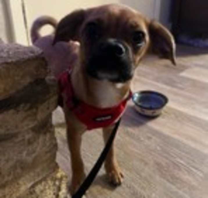 Photo of Baby