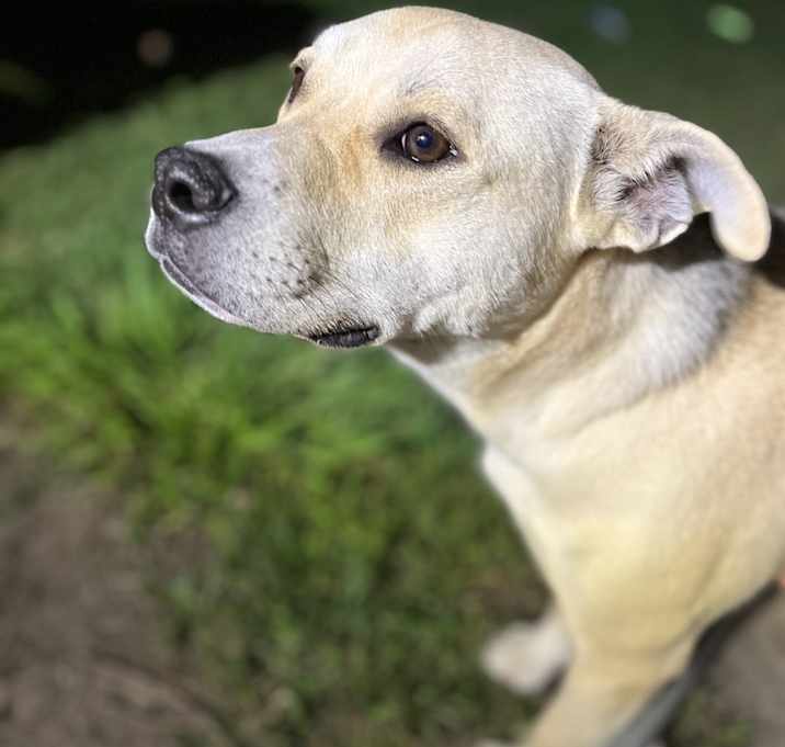 Photo of Charlie