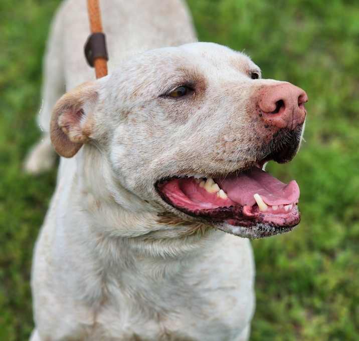 Photo of Rebel