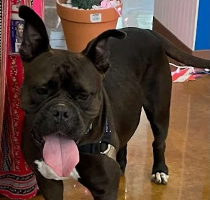 Photo of *MISS MAGOO