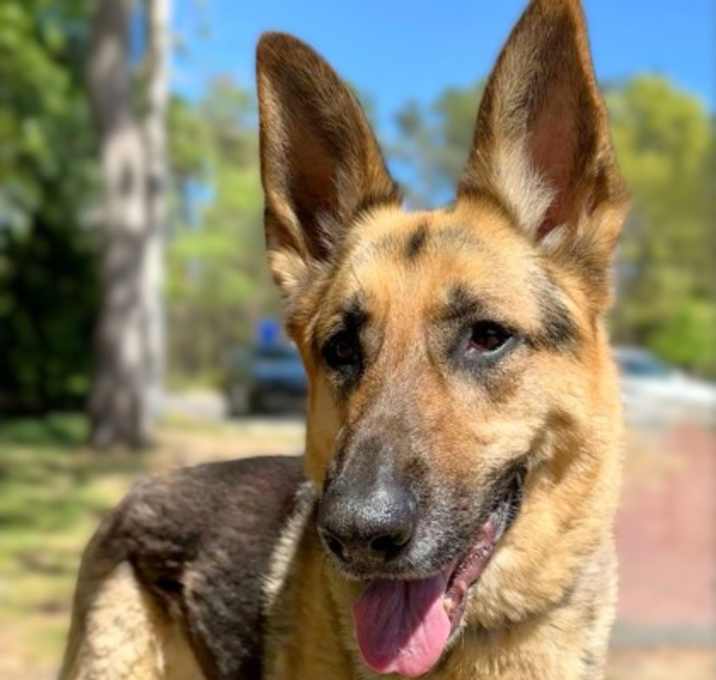 Photo of Zeus