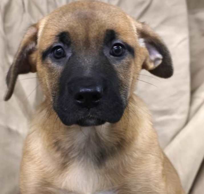 Photo of Lulu