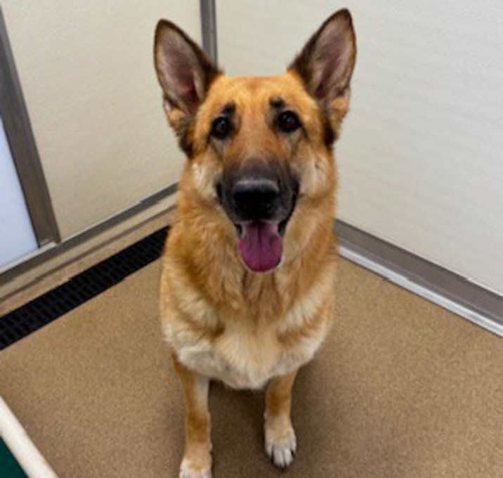 Photo of Nelly