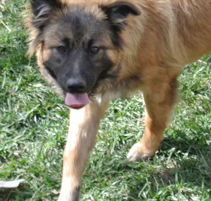 Photo of MILO
