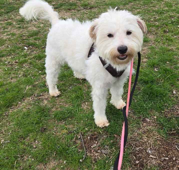 Photo of Shaggy