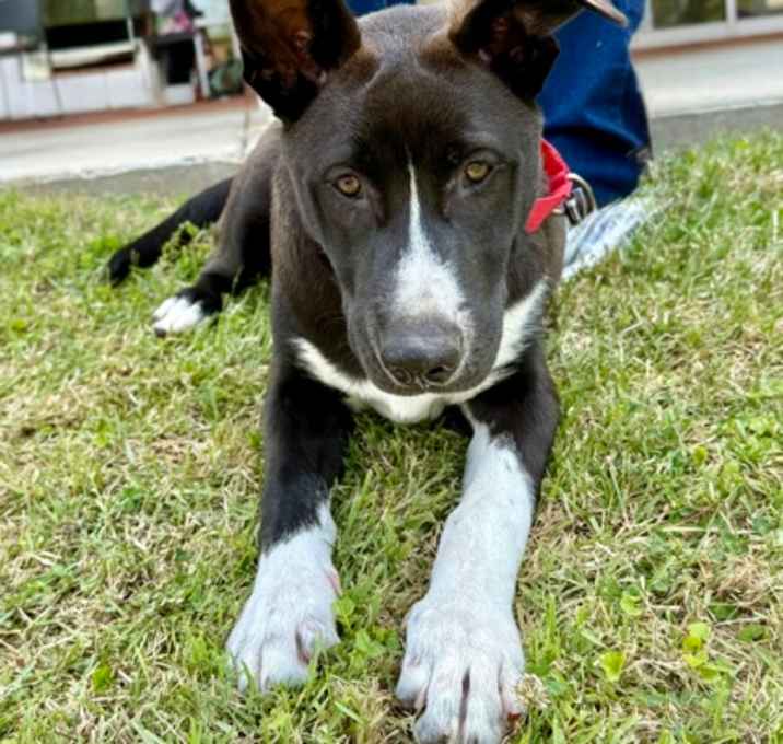 Photo of Cyrus