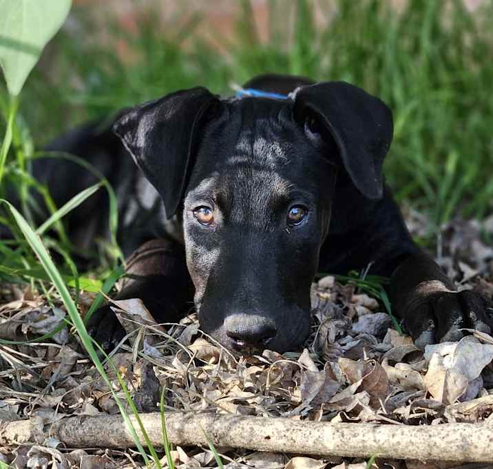 Photo of Moby