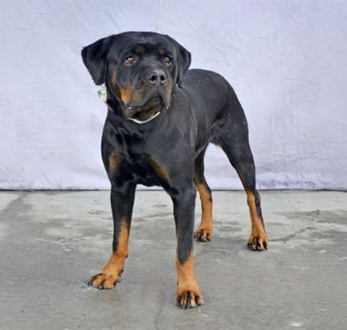 Photo of AYLA