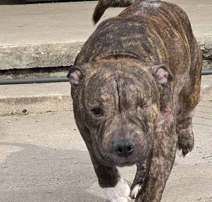 Photo of Popeye