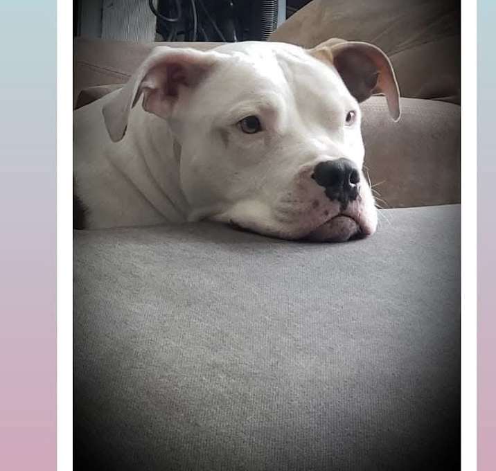 Photo of Patty