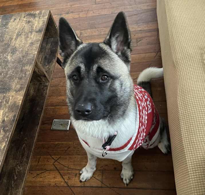 Photo of Zara