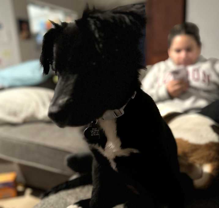Photo of Holly