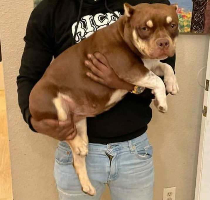 Photo of Remy