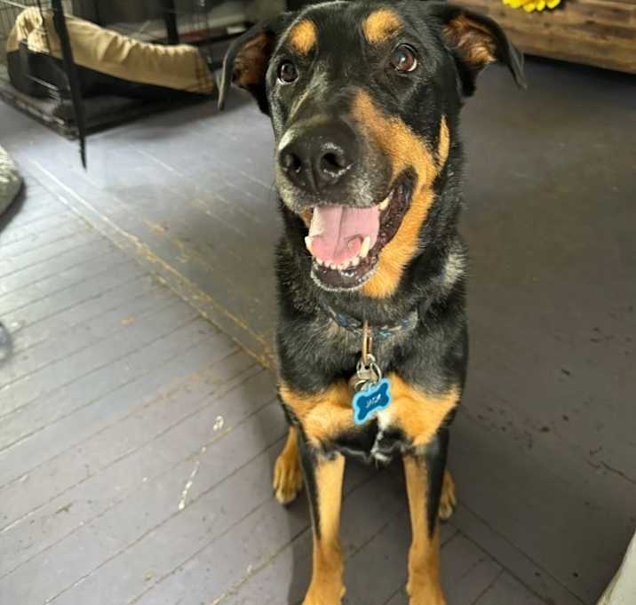 Photo of Jack