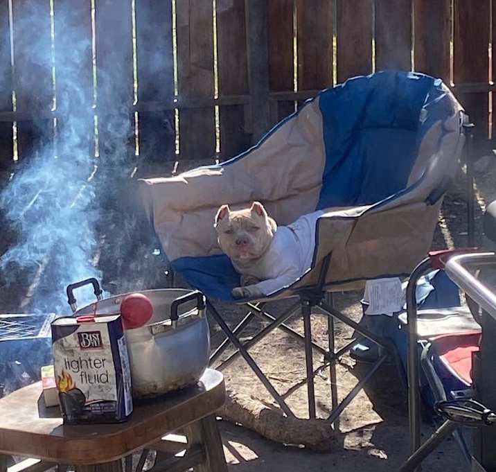 Photo of Cardi