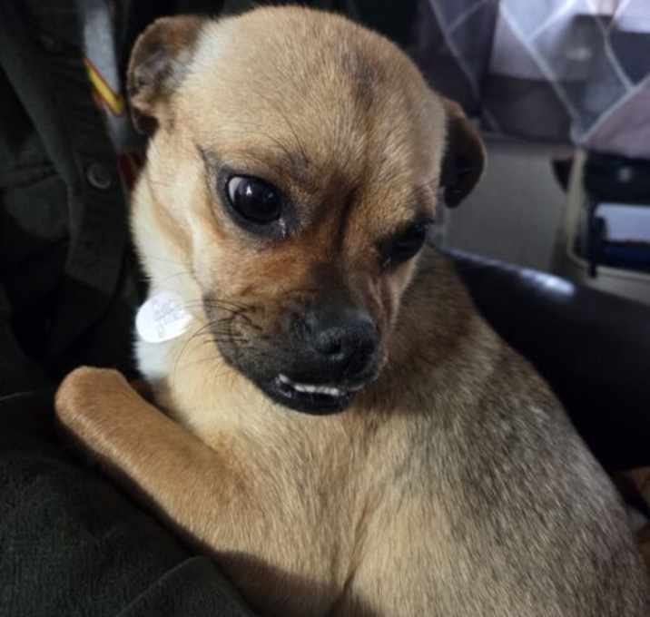 Photo of Fiona