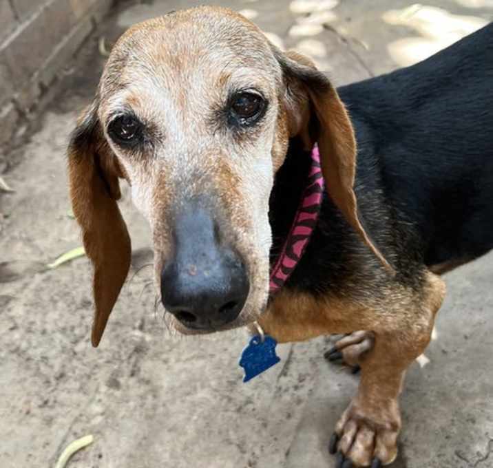 Photo of Lucy