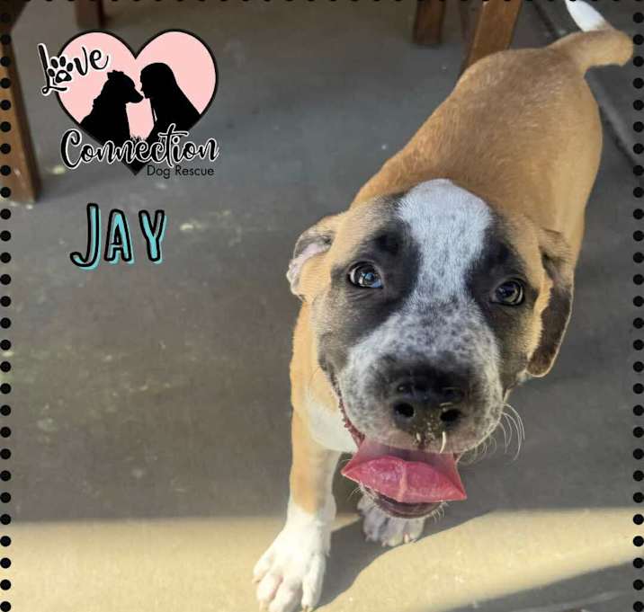 Photo of Jay