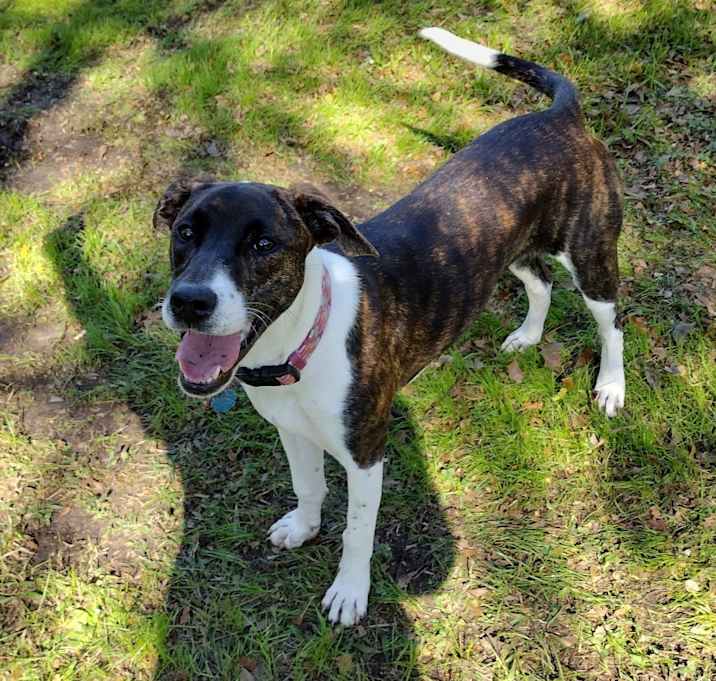 Photo of Oakley