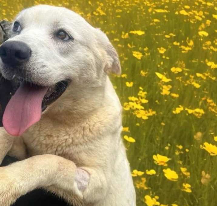 Photo of Elsa