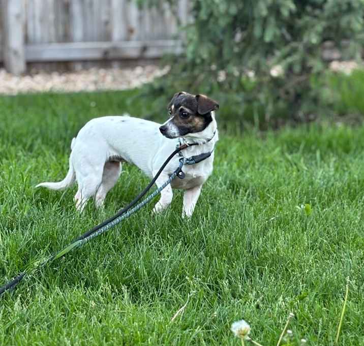 Photo of Emmy
