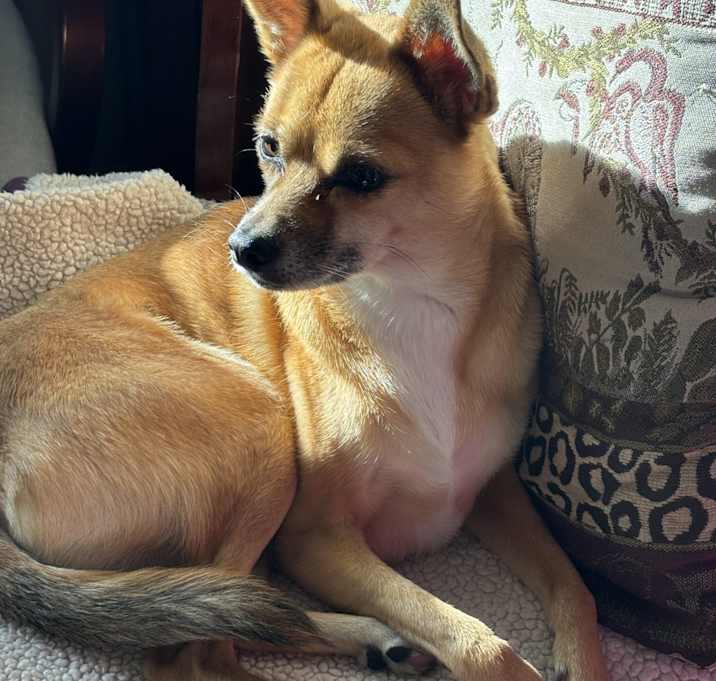 Photo of Gigi