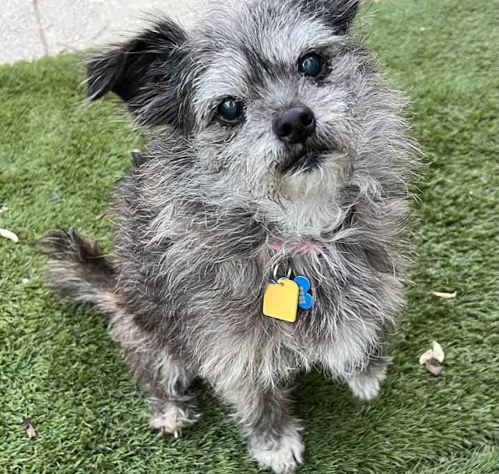 Photo of Mia!