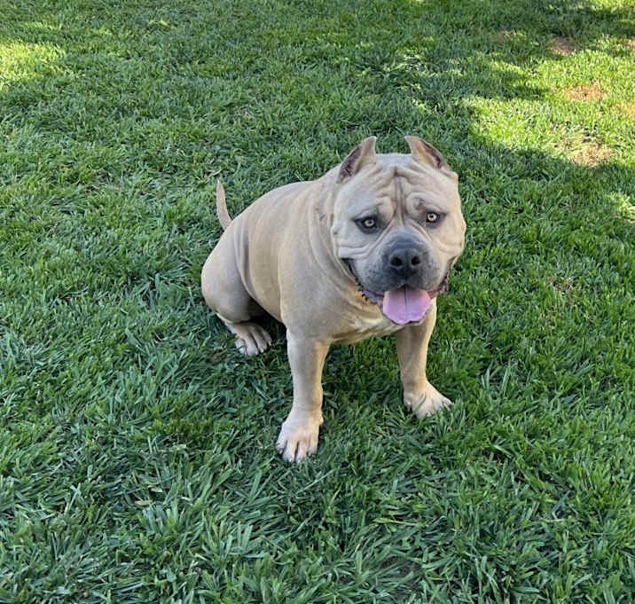 Photo of Zeus