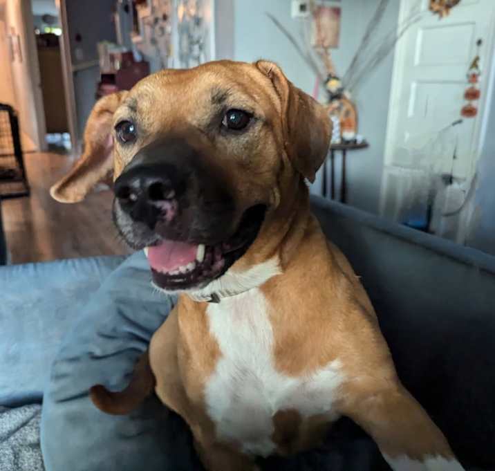Photo of Missy