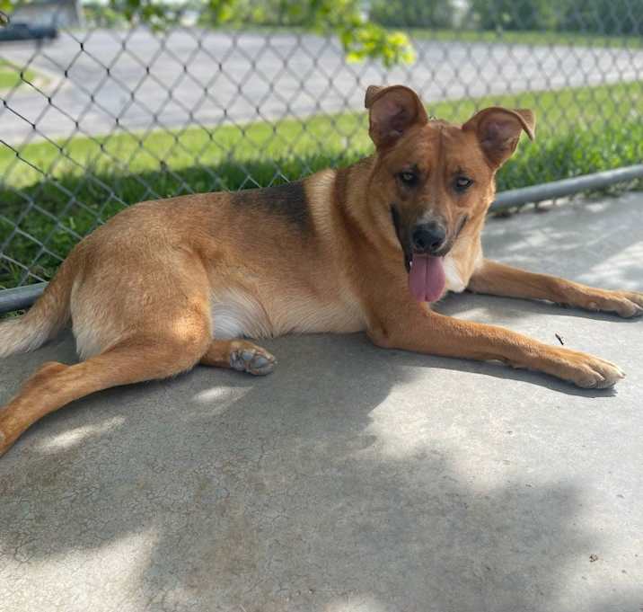 Photo of Frankie