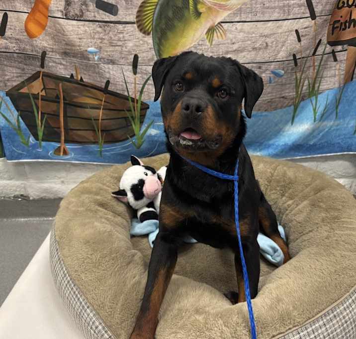 Photo of ZEUS