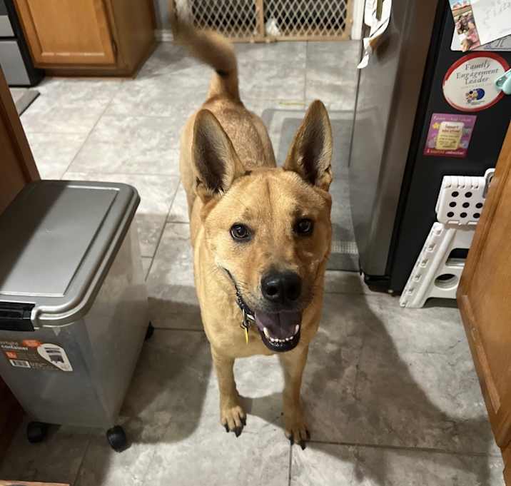 Photo of Benny