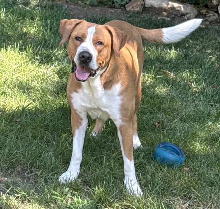 Photo of Winston