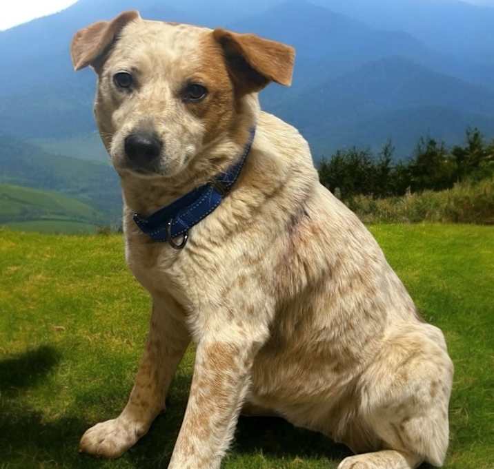 Photo of Bobbi