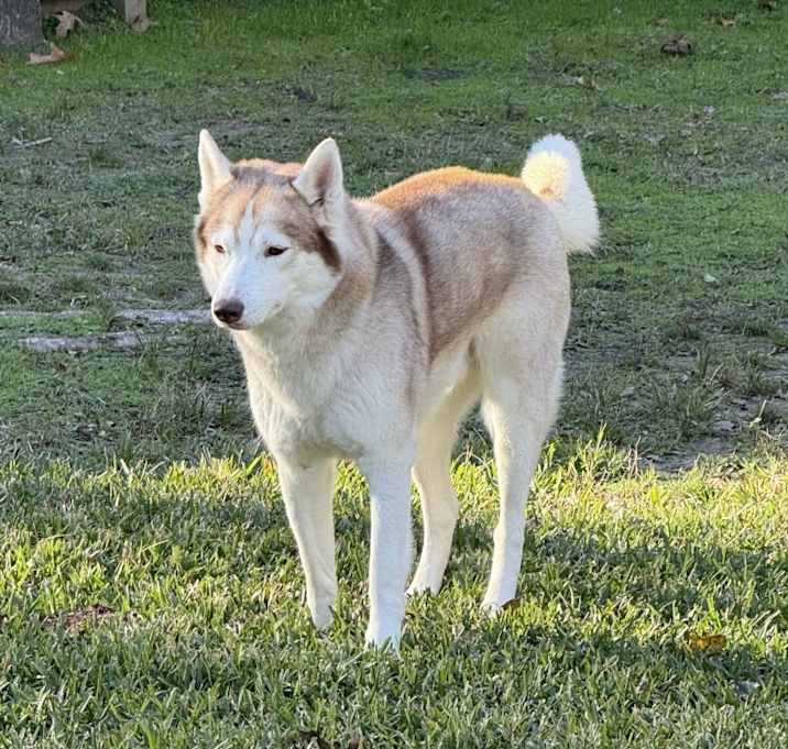 Photo of Buster