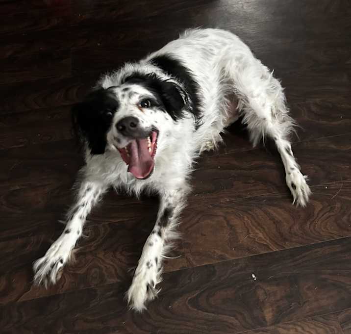 Photo of Dakota