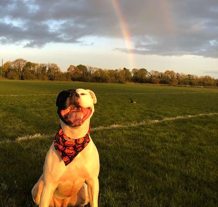 Photo of Luna