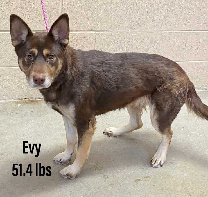 Photo of Evy