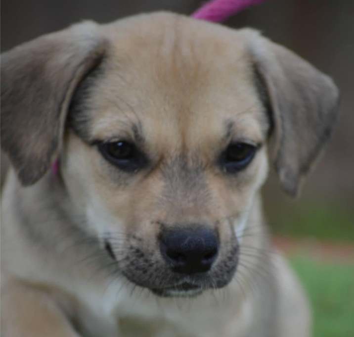 Photo of Artemis