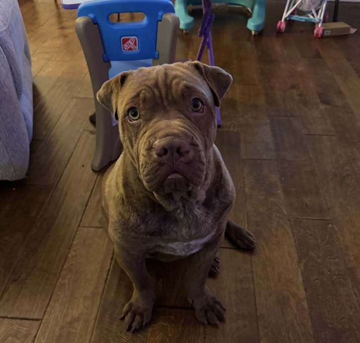 Photo of Hazel