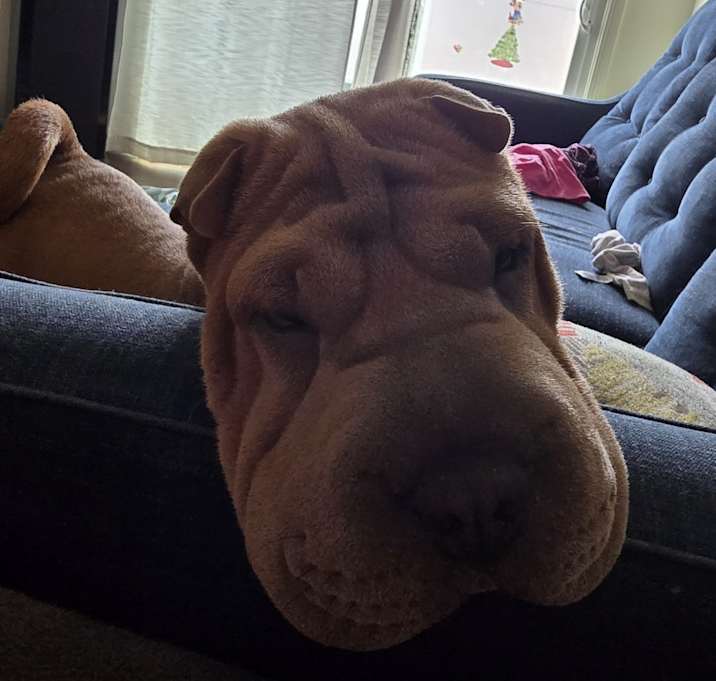 Photo of Lina