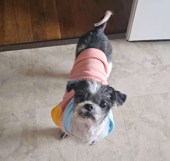 Photo of Rosie-Pending Review