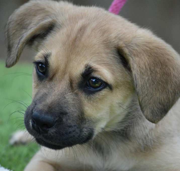 Photo of Persephone