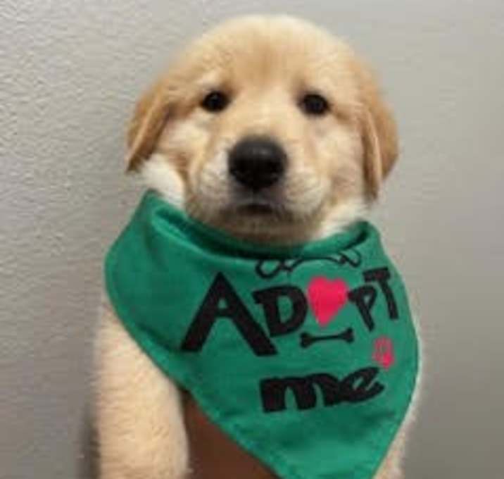 Photo of Theodore
